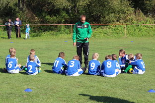 爱游戏体育-意甲教练团队基于自然语言语调分类器指导战术表达调整,自然语言语义识别