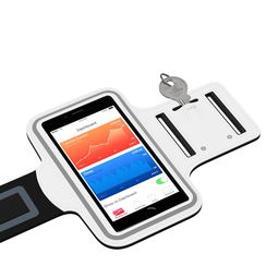 爱游戏登录-智能体育设备用户使用行为分析,智能体育装备