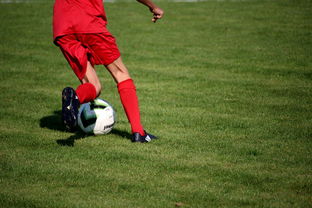 爱游戏中国官方网站平台-篮球比赛策略智能辅助系统研发与应用,篮球智能训练