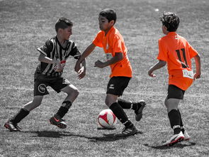 爱游戏官方网站入口登录-NBA最佳新秀竞争激烈 三人数据旗鼓相当,nba最佳新秀含金量